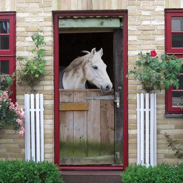 Trompe L'oeil Porte Papier Peint