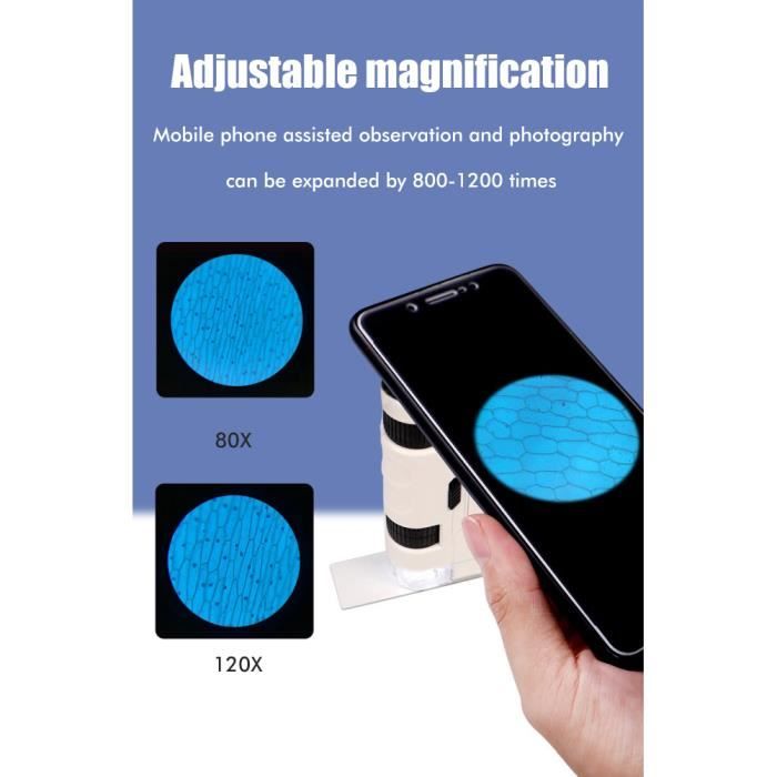 Microscope De Poche Portable 200x Avec Lumière LED Pour Enfants - Bleu