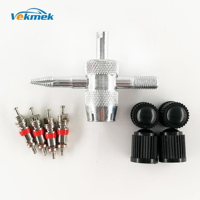 Remplacement Noyau Valve Kit D'outils De Remplacement De Tige De Valve - Kit D'installation De Kit Réparation Valve Pneu Camion Tondeuse Remplacement Noyau Valve Kit D'outils De Remplacement De Tige De Valve - Kit D'installation De Kit Réparation Valve Pneu Camion Tondeuse