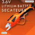 Secateur Electrique Professionnel Eacutelectriques seacutecateurs batterie lithium jardin Cisaille eacutelectrique sans fil Se140-1
