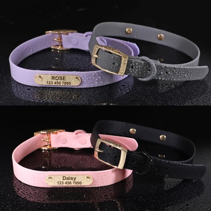Dog collar set hotsell