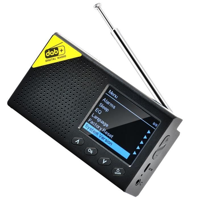 Auna Radio Portable Bluetooth et Rechargeable, Nuérique Dab/Dab /F et