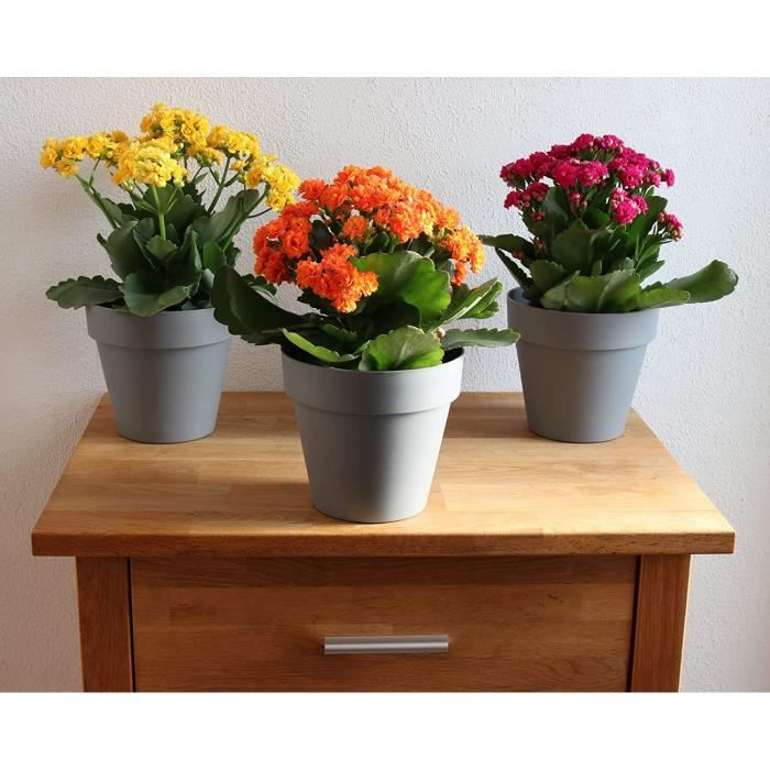 Yardwe 1 Set Pots De Fleurs pour Plantes D'Intérieur Mini Pots pour Plantes  Pots De Fleurs D'Intérieur Pots De Jardin en Plastique Jardinières pour