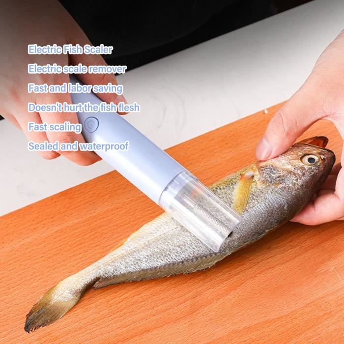 Ecailleur Poisson Professionnel, Écailleur de Poisson électrique, Nettoyage Poissons Outils Écailleur À Poisson écailleur de Poisson Automatique en Acier Inoxydable Ecailleur Poisson Professionnel, Écailleur de Poisson électrique, Nettoyage Poissons Outils Écailleur À Poisson écailleur de Poisson Automatique en Acier Inoxydable