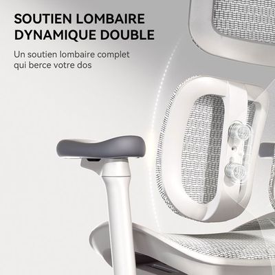 SIHOO Doro S100 Fauteuil de Bureau Ergonomique,avec Soutien Lombaire Dynamique Double,accoudoirs coordonnés en 4D,Noir - Achat & prix SIHOO Doro S100 Fauteuil de Bureau Ergonomique,avec Soutien Lombaire Dynamique Double,accoudoirs coordonnés en 4D,Noir - Achat & prix