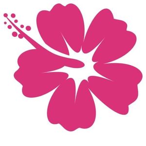 Stickers Fleur Hibiscus Hawai Rose Achat Vente Stickers
