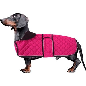 Manteau discount pour teckel