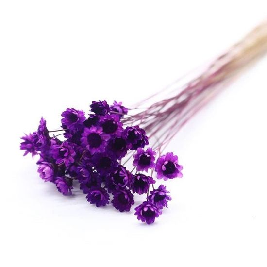 Barenx Lot De 100 Fleurs Séchées Naturelles Gomphrena Globosa Bourgeons Décoratifs