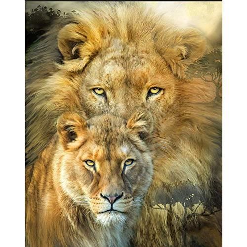 Diamond Painting Complet Ronde 5D DIY Diamant Peinture Animal Lion Amour Diamant Broderie De Strass Diamant Décor À La MXX785523