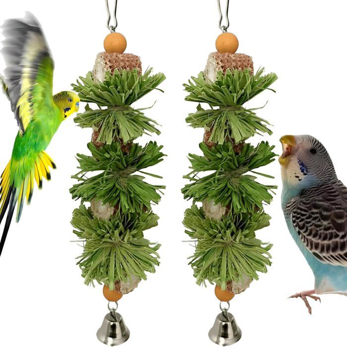 Lot de 2 jouets pour oiseaux jouets à mâcher pour perroquet calopsitte comprend des cloches dépis de maïs naturelles C