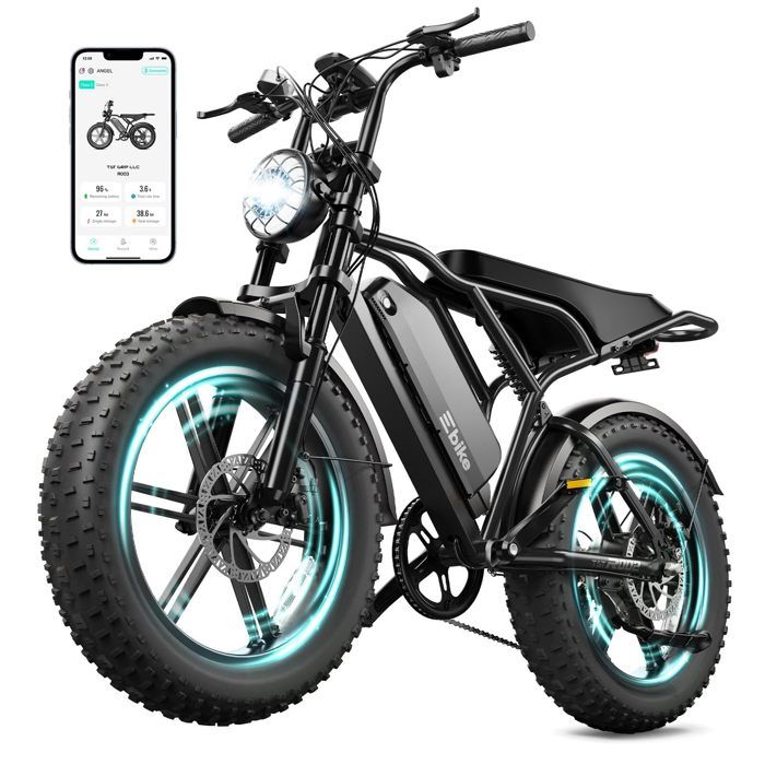 TST Vélo électrique tout terrain adultes (1500W Peak) 48V 25Ah 20 Fat tire -Autonomie 130km(ASSIST) Tout suspendu- fatbike Noir TST Vélo électrique tout terrain adultes (1500W Peak) 48V 25Ah 20 Fat tire -Autonomie 130km(ASSIST) Tout suspendu- fatbike Noir