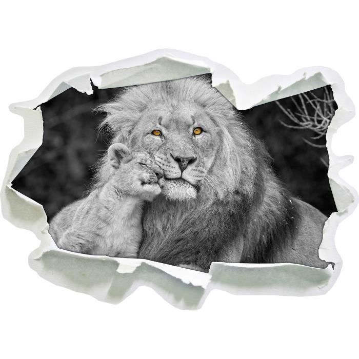 Belle Lion Avec Taille D Autocollant Lionceau Blanc Mur Noir Papier 3d 62x45 Cm Decoration Murale 3d Stickers Muraux Stickers Cdiscount Maison Belle Lion Avec Taille D Autocollant Lionceau Blanc Mur Noir Papier 3d 62x45 Cm Decoration Murale 3d Stickers Muraux Stickers Cdiscount Maison
