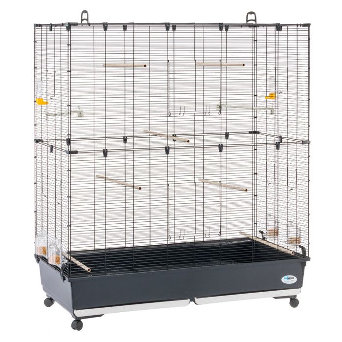 Comparer les prix de Ferplast PLANETA LARGE FERPLAST Volière Cage à Oiseaux PLANETA LARGE : Spacieuse cage métallique avec accessoires, idéale pour