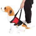 AYNEFY harnais d'aide pour chien 2 types de harnais de soutien pour chien avant et arrière, aide à la marche, gilet de levage pour-1