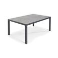 Ensemble table et chaises de jardin OVIALA - Gris - Rectangulaire - 182 x 121 x 74 cm - Aluminium - 10 personnes-1