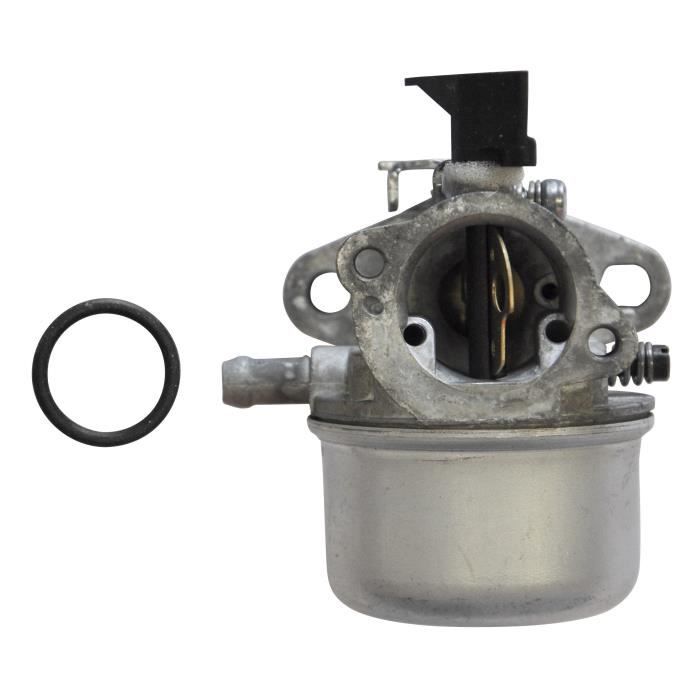 Carburateur BRIGGS et STRATTON 498170 - 494216 - 493422 - 498965 ...