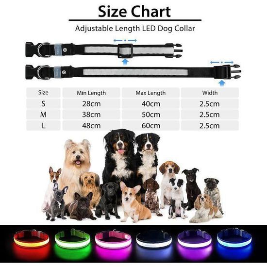 Collier Lumineux LED Odie – Multicolore, Clignotant, Pour Chien Ou Soirée, Neuf