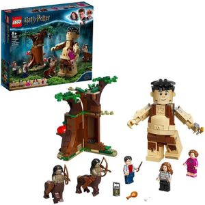 ASSEMBLAGE CONSTRUCTION LEGO® Harry Potter™ 75967 La forêt interdite : La 