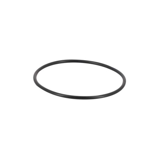Joint Torique Pour Filtre Piscine Pentair - Réf. 39010200, Diamètre Ext. 52cm - Compatible CCP520/420/320, FNS Plus, Quad DE