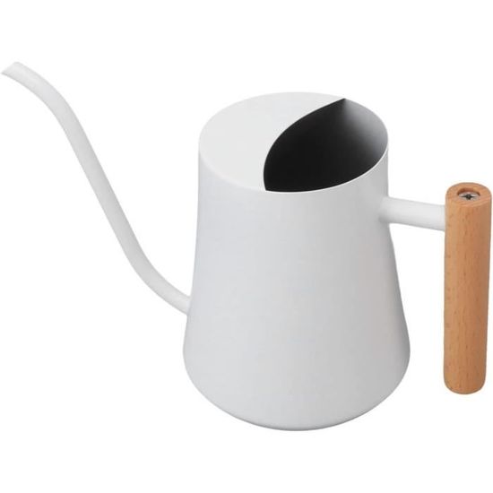 Arrosoir En Acier Inoxydable 1000ml - Bec Long Précis Pour Plantes Intérieur Et Extérieur