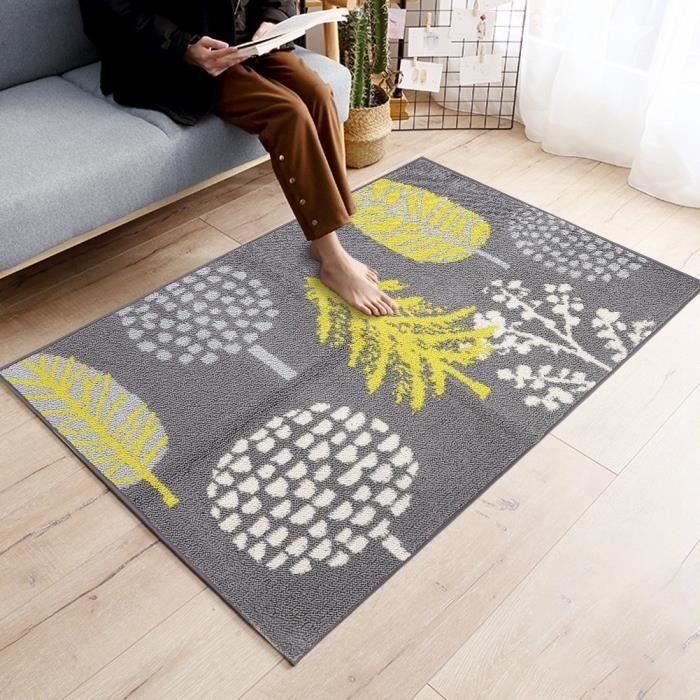 Tapis de sol d'entrée antidérapant lavable (80x110cm)-CER QUI25091