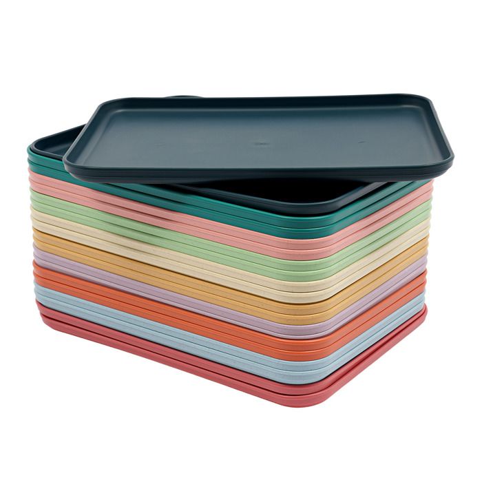 20Pcs Plateau de Service en PP - 20 Pièces Assiettes Repas Multicolores - Plateaux Repas pour Cantine Restaurant - PLAT DE SERVICE