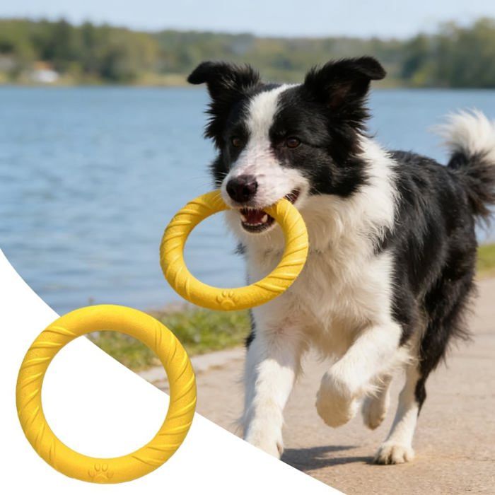 Anneau de Jeu pour Chien Résistant à Mâcher Jouet de Tir à la Corde et Frisbee pour Dressage Interaction Maître-Chien Activité
