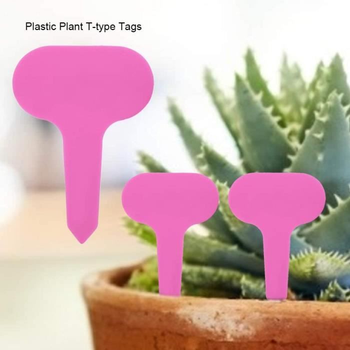 Cozlly Lot De 120 étiquettes Pour Plantes - 10 X 2 Cm - Pour Plantes De