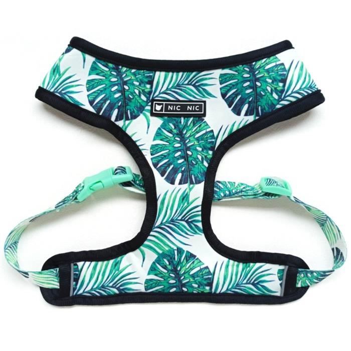 Green dog harnessM Harnais pour petit chien, sans tirer, gilet pour