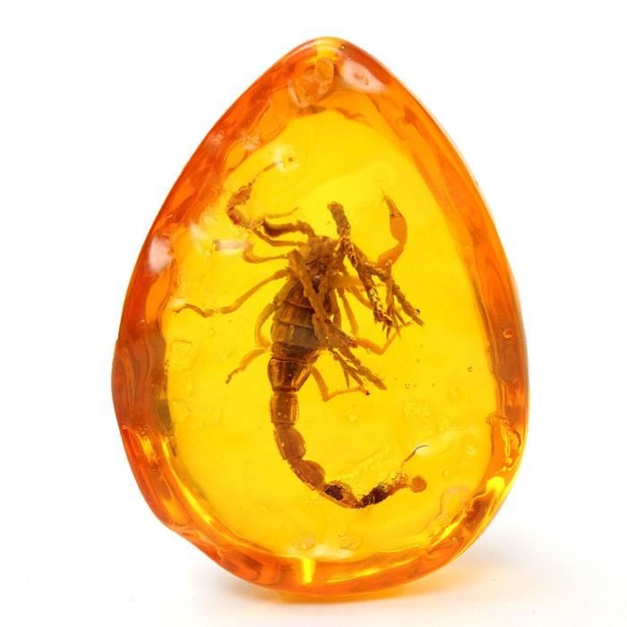 Pendentif En Ambre De Scorpion Insecte Amulette Femme Homme Cdiscount Puericulture Eveil Bebe