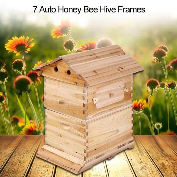 Boite Maison De Apiculture Pour 7 Cadres De Ruche D Abeille De Miel Automatiques Shy Achat Vente Materiel Systeme Nicot Boite Maison De Apiculture Cdiscount
