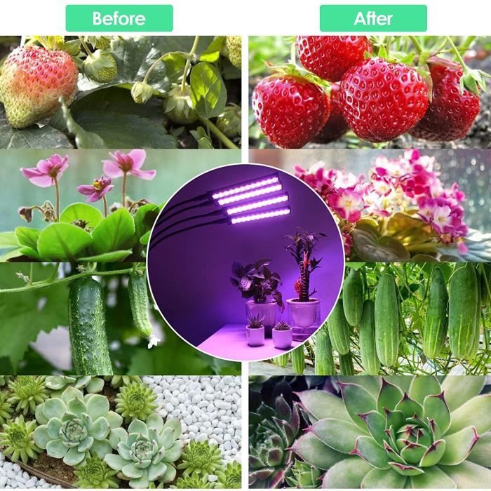 Lampe Plante Intérieur PKBD 100 LED - 4 Têtes Spectre Complet Avec Minuterie