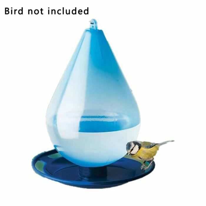 Mangeoire à oiseaux verte en verre transparent conteneur de nourriture pour  suspendu - SENEGAL ELECTROMENAGER