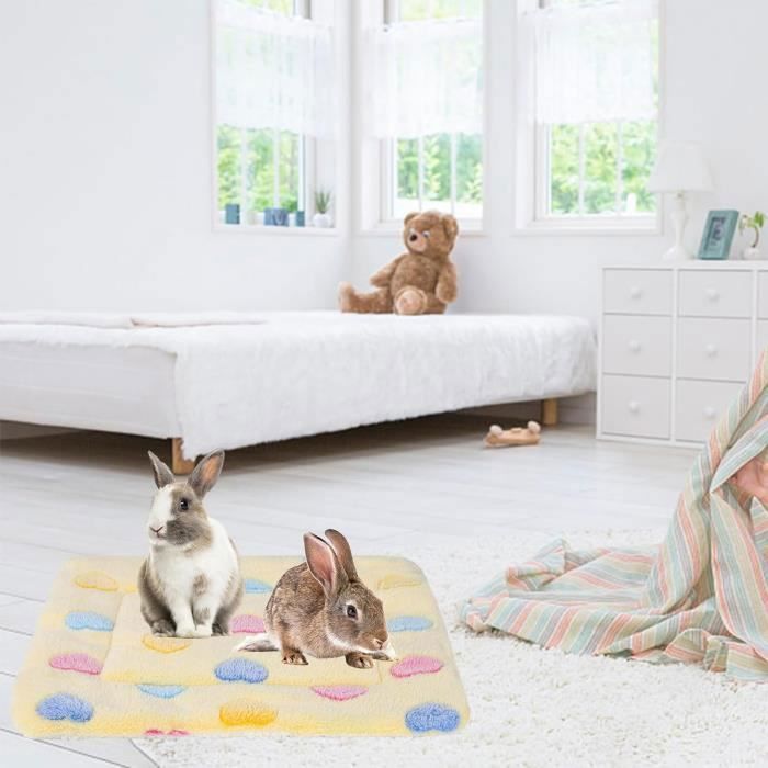 Tapis De Couchage En Peluche Pour Petit Animal – Lot De 2, 37 X 27 Cm | Chaud, Moelleux, Lavable | Pour Lapin, Cochon D'Inde, Hamster