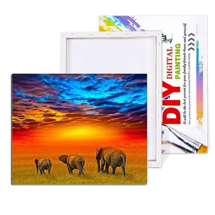 Éléphant coloré mignon Kit de peinture à l'huile bricolage, kit de peinture par numéros pour enfants et adultes - 40 * 50cm (sans cadre Éléphant coloré mignon Kit de peinture à l'huile bricolage, kit de peinture par numéros pour enfants et adultes - 40 * 50cm (sans cadre