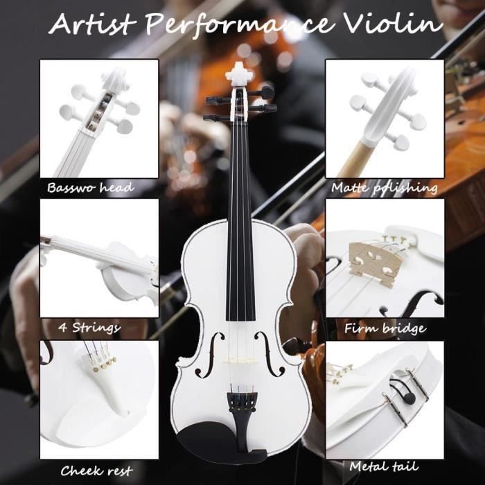 4/4 Violon Pleine Grandeur Violin Set pour Débutants Adultes Étudiants  Adolescents, Violon en bois érable - Noir - Cdiscount Instruments de musique