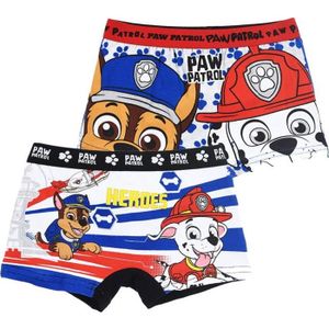 Paw Patrol Sous-Vêtements Set-Slip chemise Taille 2-8 Ans 2 pièces-Neuf Paw Patrol Sous-Vêtements Set-Slip chemise Taille 2-8 Ans 2 pièces-Neuf
