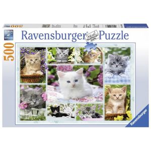 PUZZLE Puzzle 500 pcs Chatons Dans Leurs Corbeille