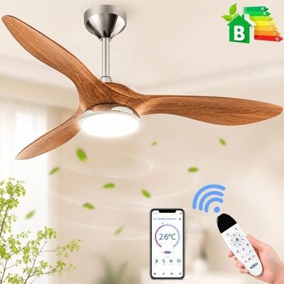 Ventilateur de Plafond avec Lumi&egrave;re