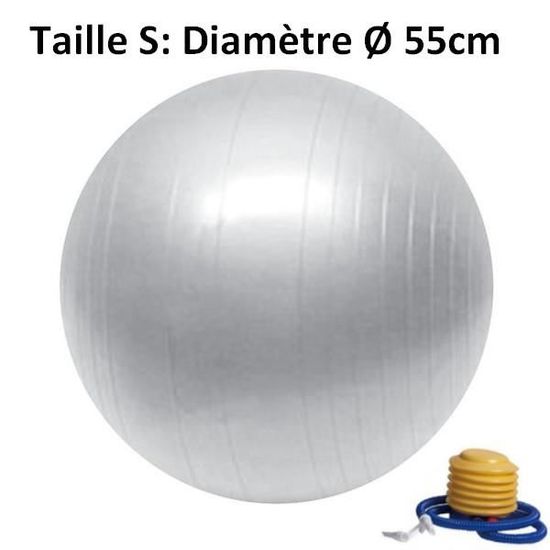 BALLON DE YOGA  / FITNESS - 55 CM 55 cm de diamètre Argent