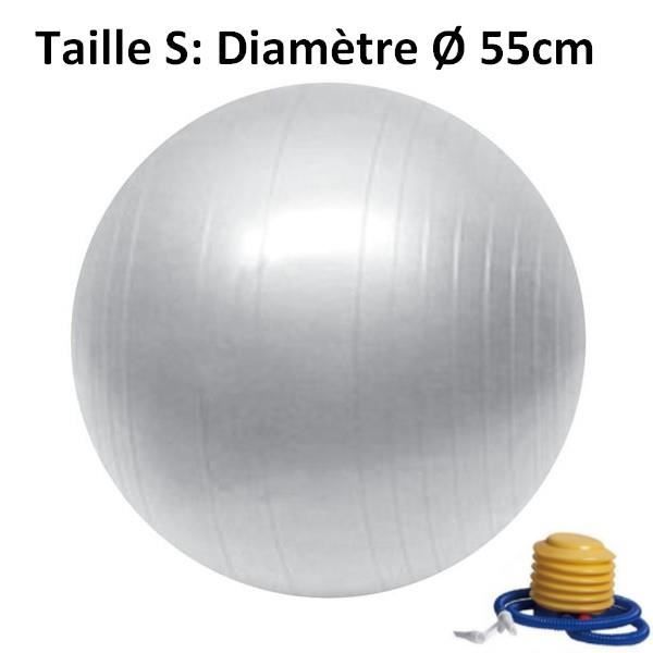 BALLON DE YOGA / FITNESS - 55 CM 55 cm de diamètre Argent
