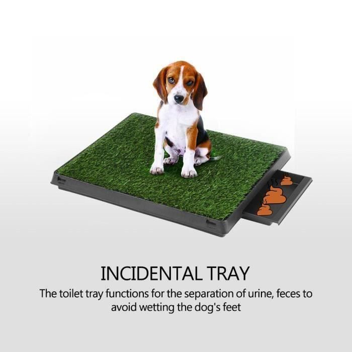 Toilette Tapis de propreté litière pot maison de toilette toilettage pour animaux chien chat pelouse