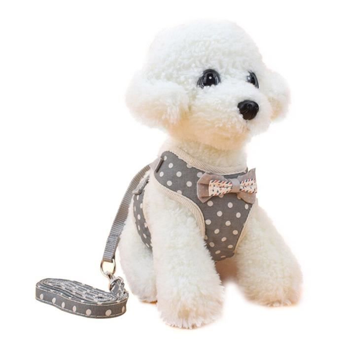 Laisses Colliers,Pawstrip harnais de harnais pour petit chien 9 motifs, nœud de gilet pour chat chien, ensemble - Type Gray Dot-L