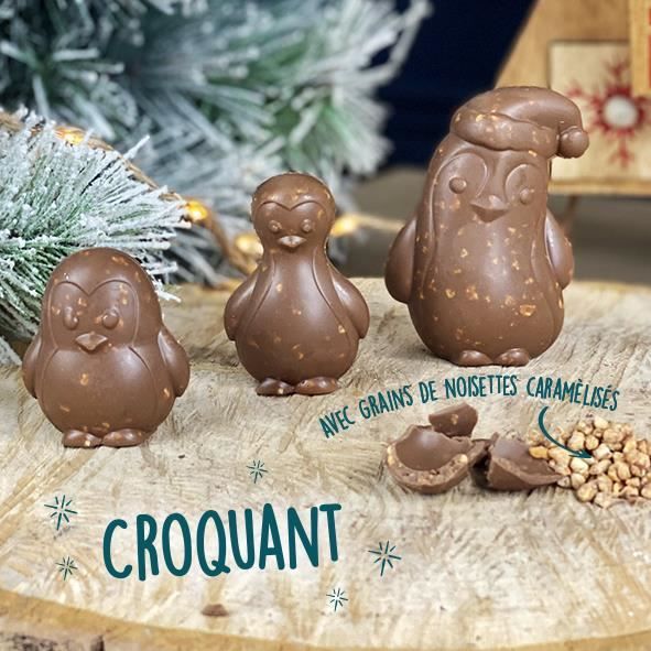 Moulage chocolat de noel - Famille craquante - lot de 3