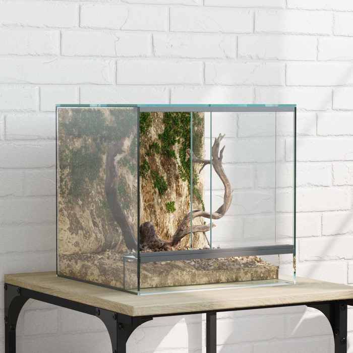 Transparent Terrarium Durable - Résistant aux rayures - avec stockage Transparent 30 x 30 x 30 cm Verre A2745