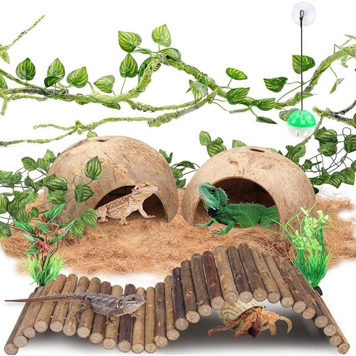Accessoires de réservoir de gecko à crête plantes grimpantes pour reptiles plantes grimpantes avec coquilles de noix de coco