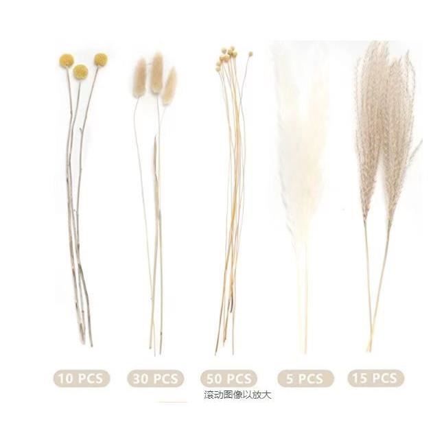 Hiraith 4 Boîtes Fleurs Séchées Assorties - Kit Artisanat Et Décoration Naturelle