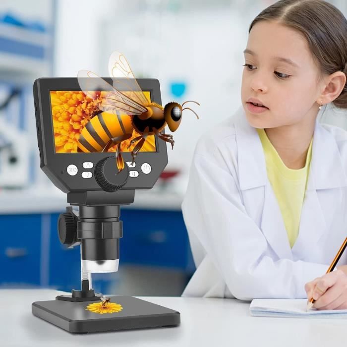 Microscope numérique portable 1000X pour enfants avec écran IPS de 2, jouets d'extérieur portables, cadeaux de laboratoire scientifique STEM, microscope de poche rechargeable, jouet éducatif pour