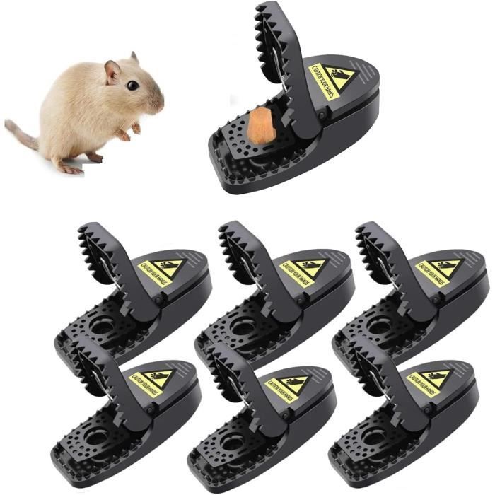 10 Pièges à Souris Réutilisables Nasharia - Tapette à Rat, Grande Taille, Facile à Installer Et Nettoyer