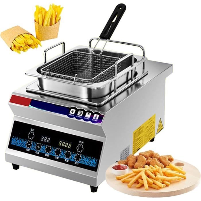 Friteuse, Friteuse Électrique 2500W Avec Panier, Acier Inoxydable Friteuse, Friteuse Électrique 2500W Avec Panier, Acier Inoxydable
